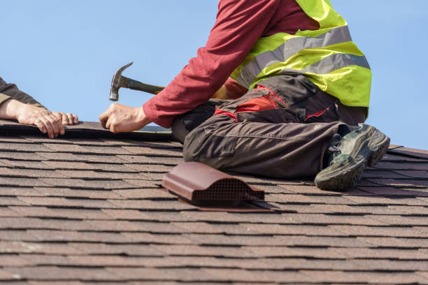 Best Roof Gutter Cleaning  in Long Prairie, MN