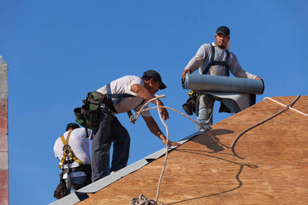 Best Residential Roofing Contractor  in Long Prairie, MN