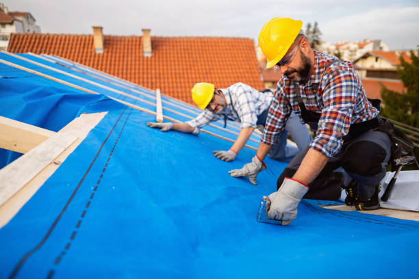 Best Local Roofing Companies  in Long Prairie, MN