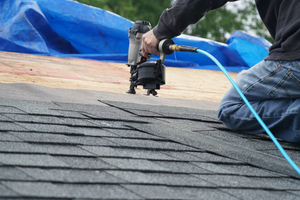 Roof Gutter Cleaning in Long Prairie, MN