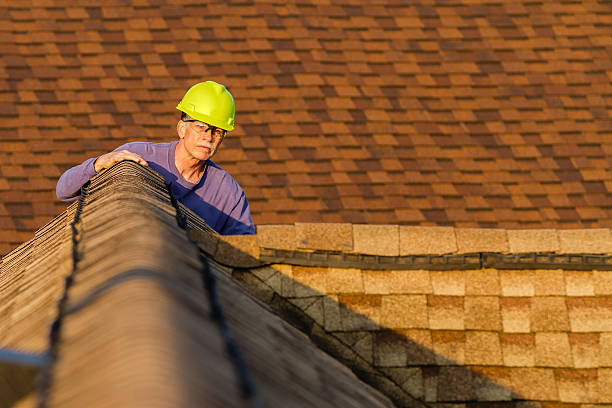 Best Roof Restoration Services  in Long Prairie, MN