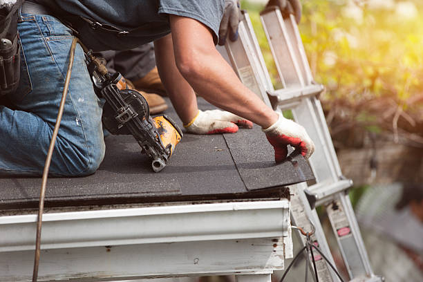 Best Roof Gutter Cleaning  in Long Prairie, MN