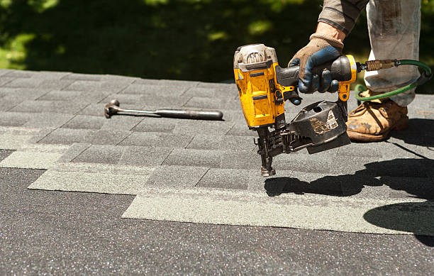 Best Metal Roofing Contractor  in Long Prairie, MN