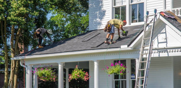 Best Residential Roofing Contractor  in Long Prairie, MN