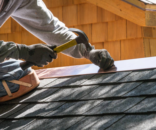 Professional Roofing Contractor in Long Prairie, MN